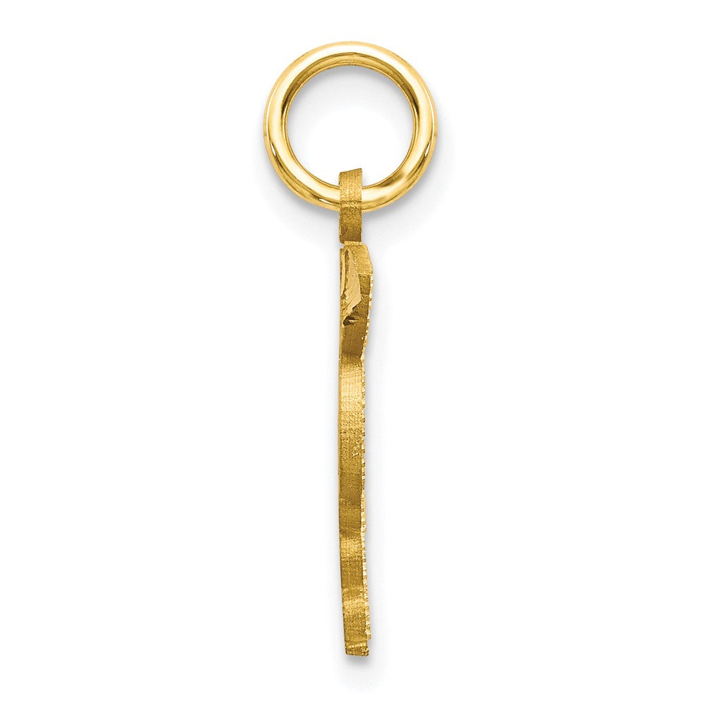 10k Solid Doctor of Medicine MD Charm-10C745