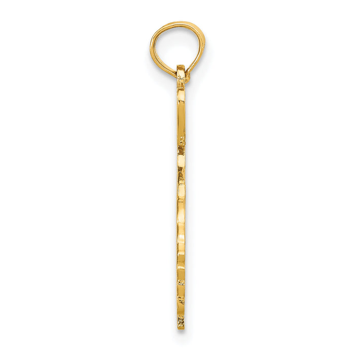 10K Solid Georgia State Pendant-10D1157
