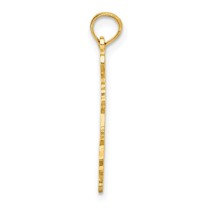 10K Solid Louisiana State Pendant-10D1165