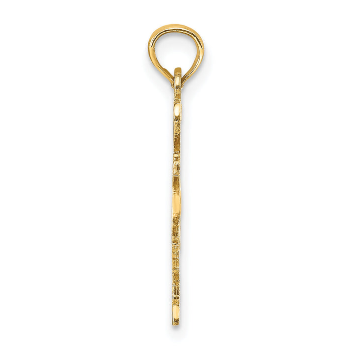 10K Solid Texas State Pendant-10D1190