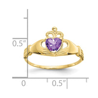 10k CZ February Birthstone Claddagh Heart Ring-10D1793