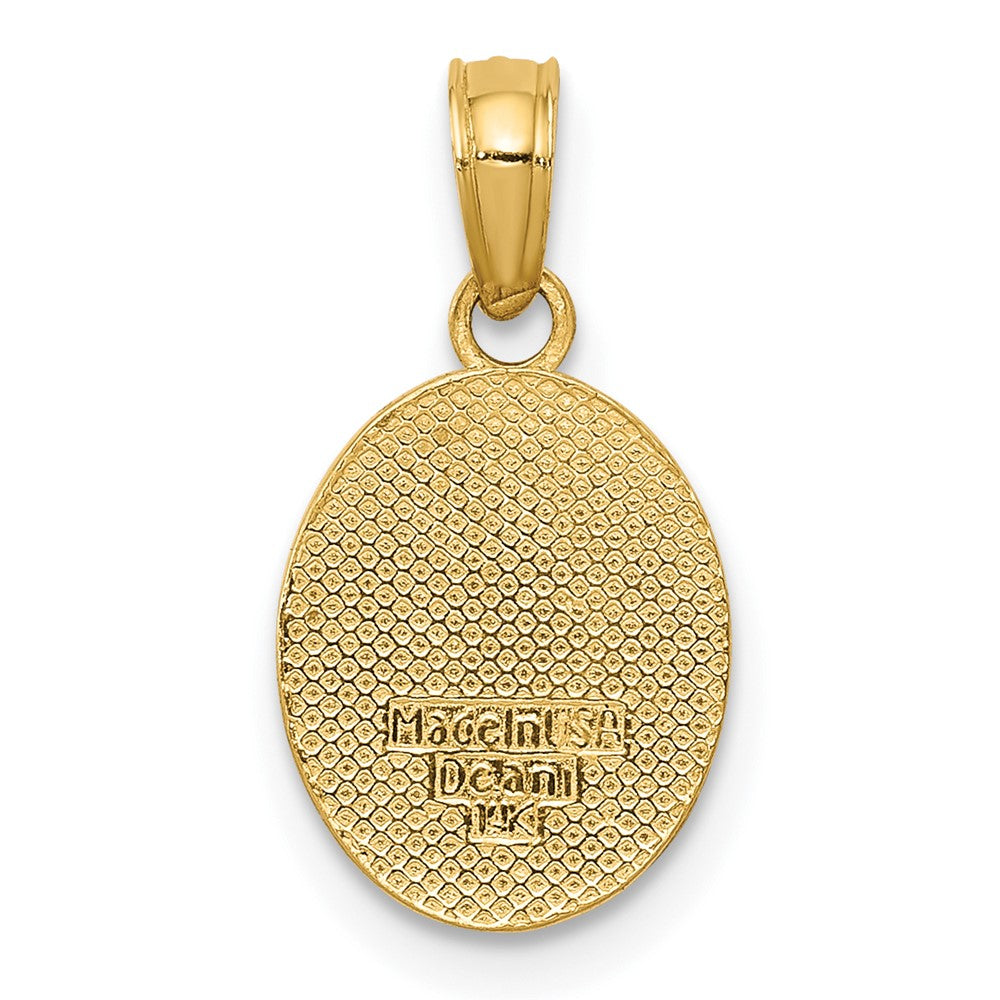 10k Polished Small Fleur De Lis in Oval Pendant-10D4369