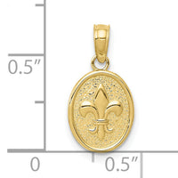 10k Polished Small Fleur De Lis in Oval Pendant-10D4369