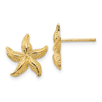 10k Starfish Earrings-10E908