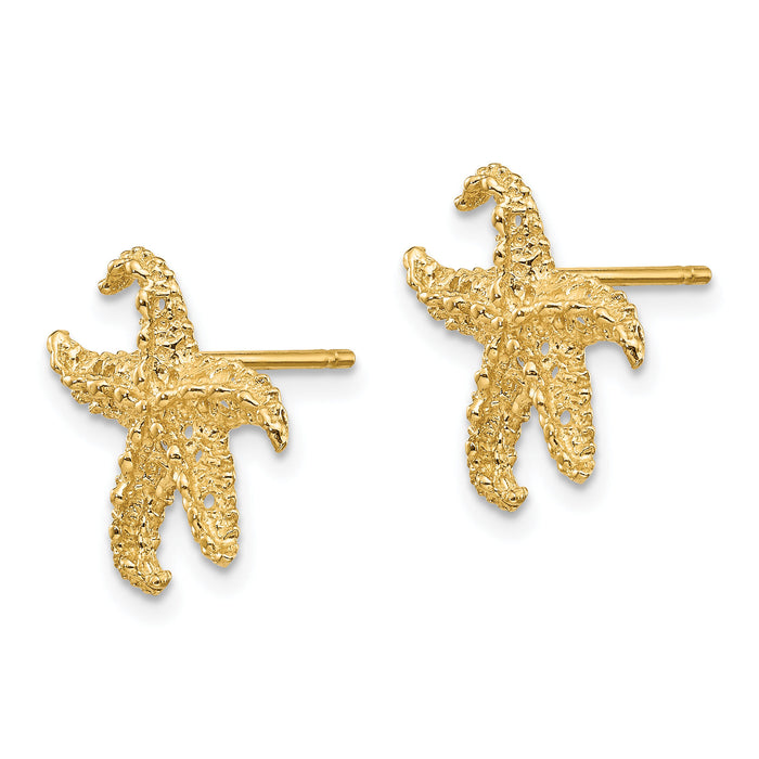 10k Starfish Earrings-10E909