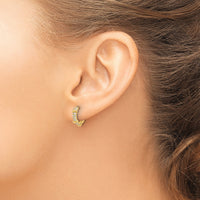 10K Polished CZ Hinged Hoop Earrings-10ER353