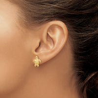 10k Gold Polished & Textured Sea Turtles Post Earrings-10H1129