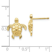 10k Gold Polished & Textured Sea Turtles Post Earrings-10H1129