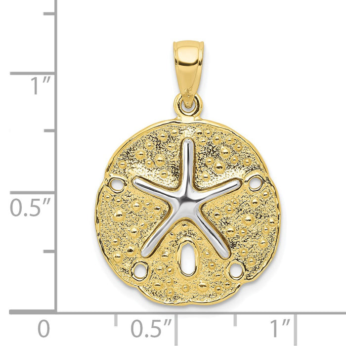 10k Two Tone Sand Dollar w/ Starfish Pendant-10K4894