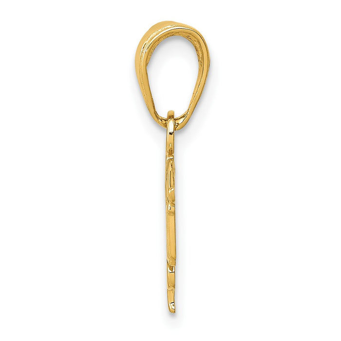 10K LPN Symbol Pendant-10K4933
