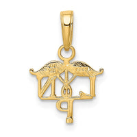 10K LPN Symbol Pendant-10K4933