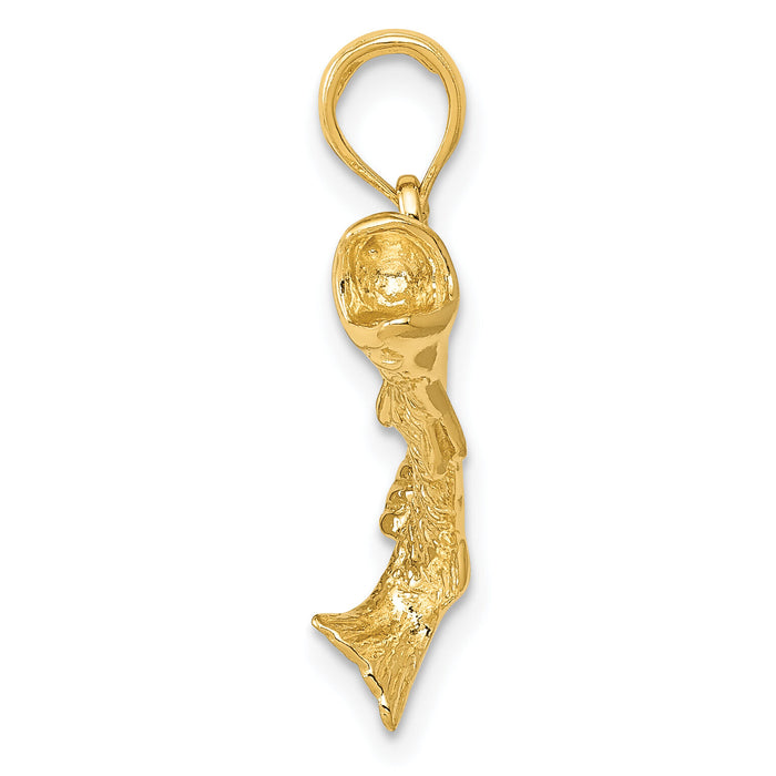 10K Gold Polished & Textured Bass Fish Pendant-10K5362