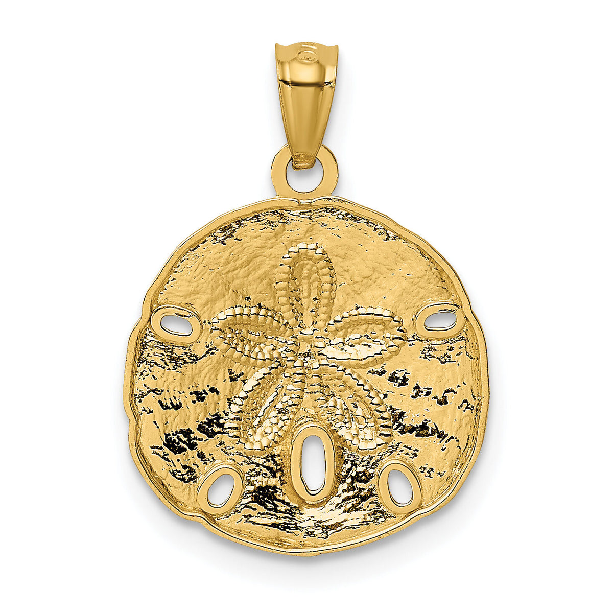 10k Gold Polished Large Sand Dollar Pendant-10K5378