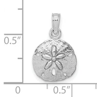 10K White Gold Polished Sand Dollar Pendant-10K5379W