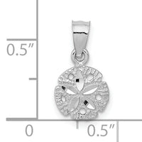 10k White Gold Sand Dollar Pendant-10K5381