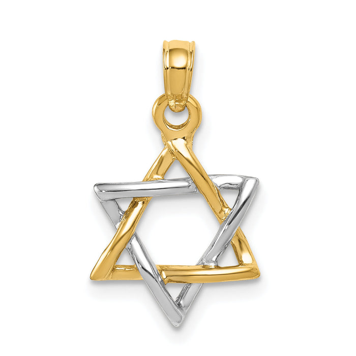 10K Two-tone Polished Star of David Pendant-10K5711