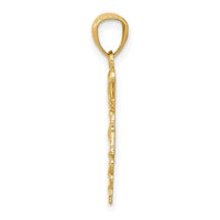 10k Diamond-cut Polished RN Nurse Pendant-10K6119