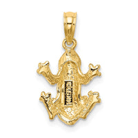 10k Textured Top View FROG Charm-10K6517