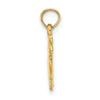 10K 3-D Two Ducks Charm-10K6594