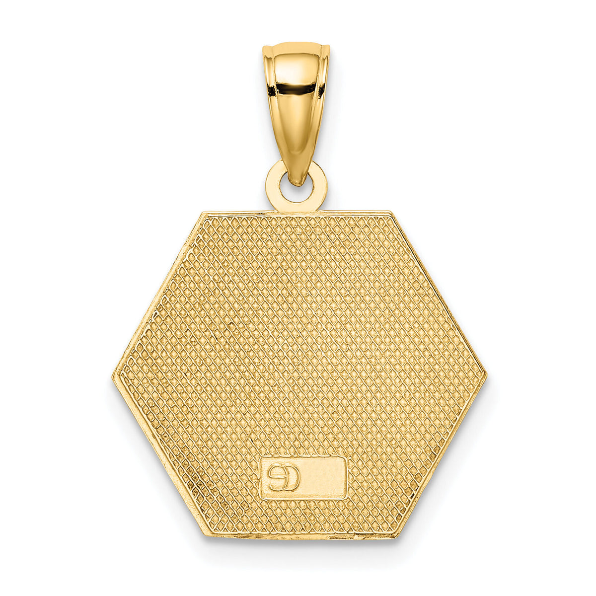 10k Enameled Medical Disc Pendant-10K6732