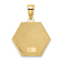 10k Enameled Medical Disc Pendant-10K6732
