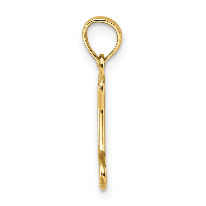 10K Cut-Out  Polished Mini Dog Bone Charm-10K7270