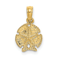 10K Sand Dollar W/Star-10K7640
