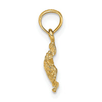 10K Textured Sea Turtle Charm-10K7651