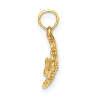 10K Polished Engraved FISH Charm-10K7669