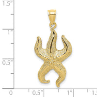 10K Textured Starfish Charm-10K7690