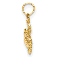 10K Textured Sea Turtle Charm-10K7696
