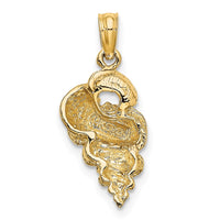 10K 2-D Precious Wentletrap Shell Charm-10K7698