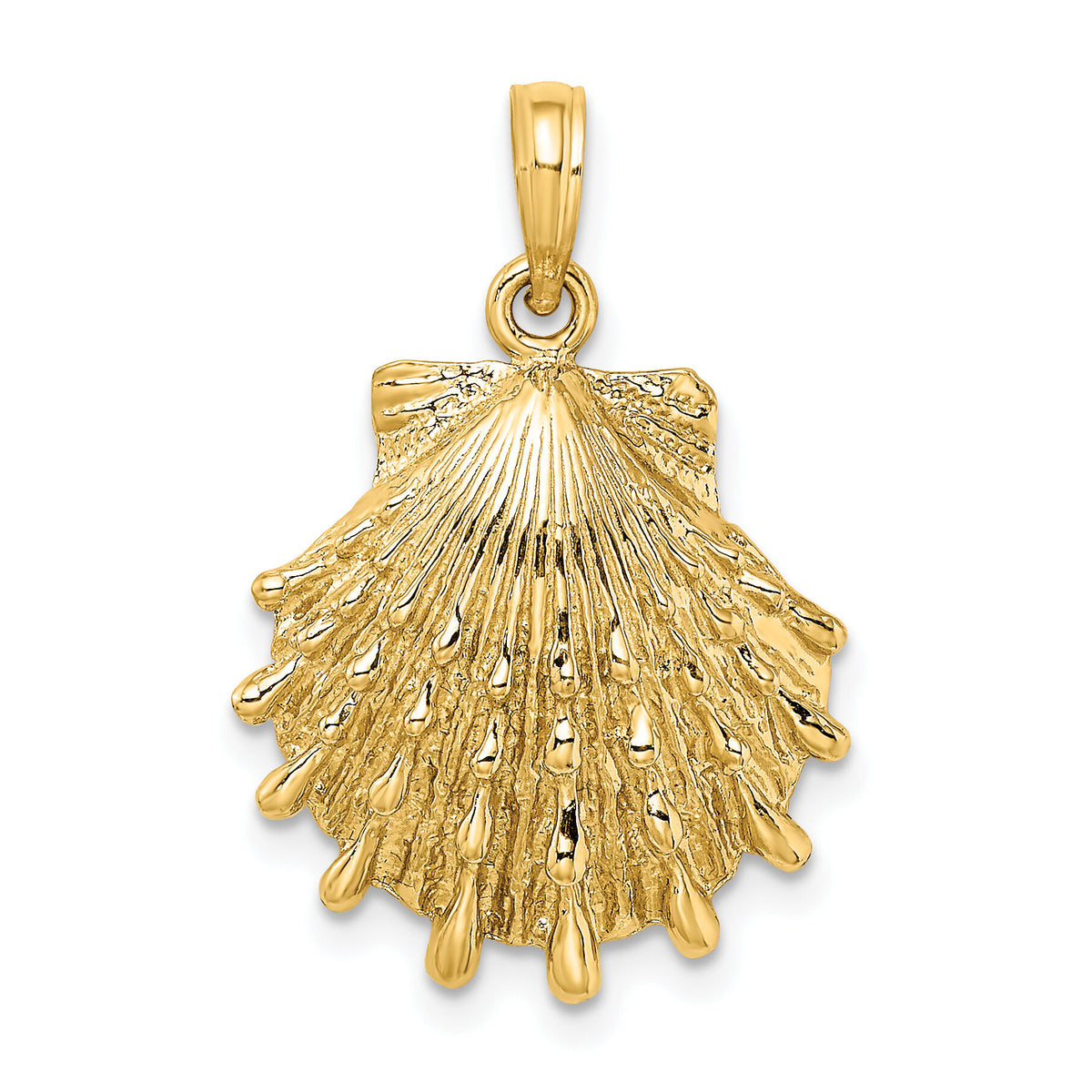 10K Lions Paw Shell Charm-10K7965