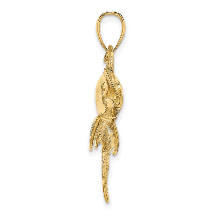 10K 2-D Polished/Satin Swordfish Charm-10K8105