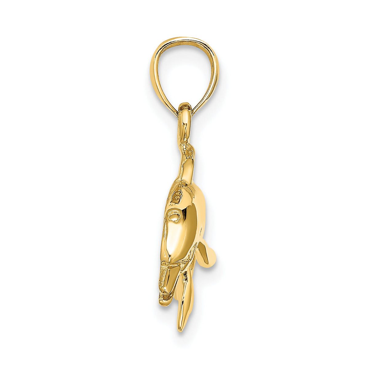 10K Textured Polished Dolphin Jumping Charm-10K8143