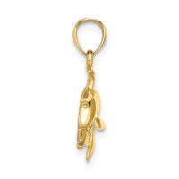 10K Textured Polished Dolphin Jumping Charm-10K8143
