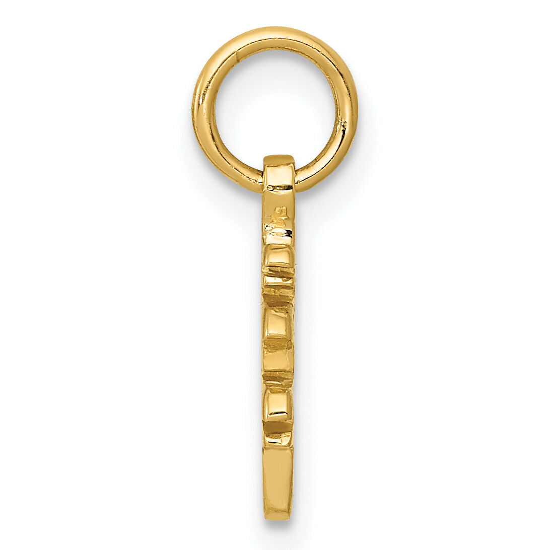 10k Solid Polished Chinese Long Life Charm-10K826