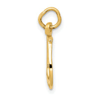 10k Solid Polished Horseshoe Charm-10K830