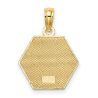 10k Medical Disc Pendant-10K8314
