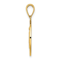 10K Polished and Satin Miraculous Medal Charm-10K8487