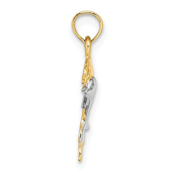 10K w/ Rhodium 2-D Polished Dolphins Charm-10K9408