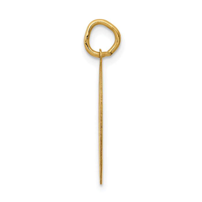 14k GRADUATION DAY Disc Charm-A1076
