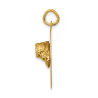 14k Small Solid Engravable Baby Shoes on Disc Charm-A1081/L