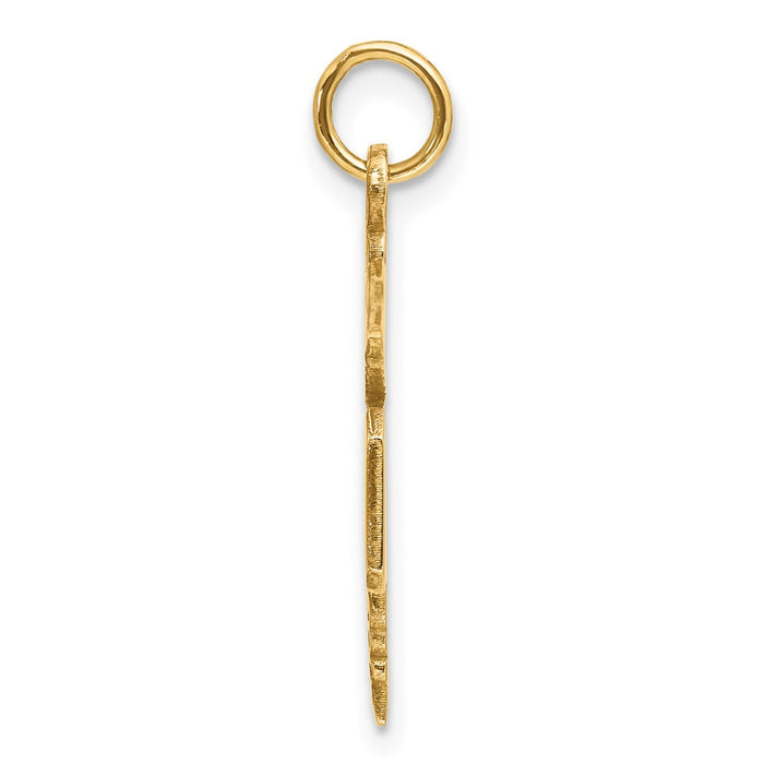 14k Large M.D. Caduceus Charm-A1195