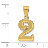 14k Polished Etched Number 2 Pendant-AEN02