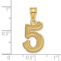 14k Polished Etched Number 5 Pendant-AEN05