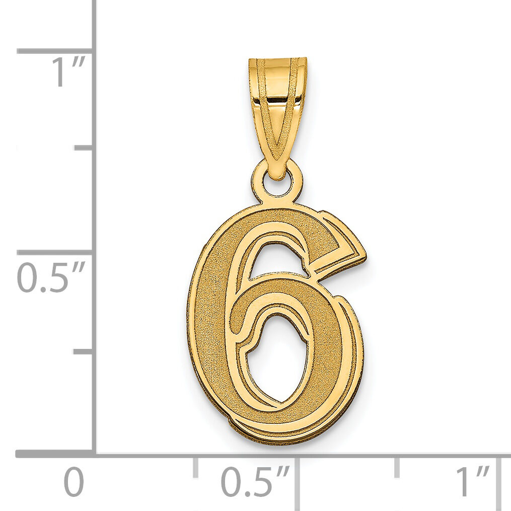 14k Polished Etched Number 6 Pendant-AEN06