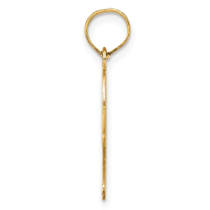 14k Polished Etched Number 9 Pendant-AEN09