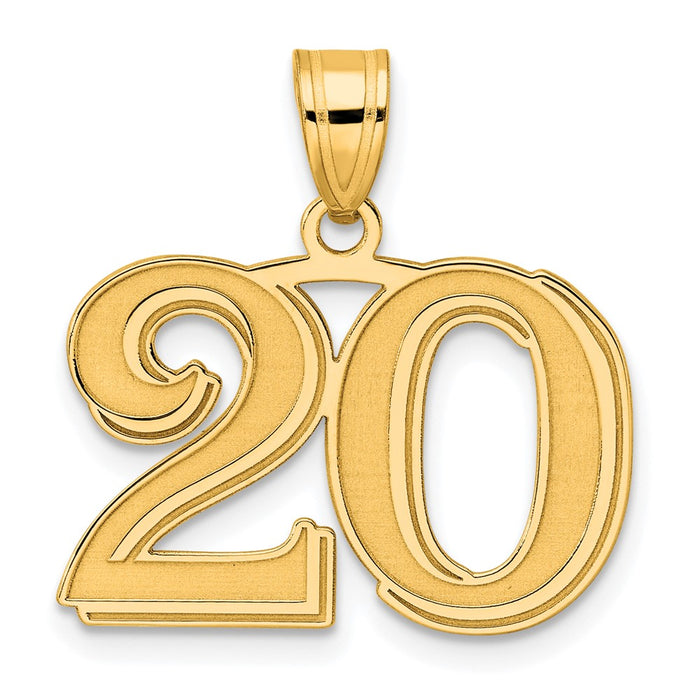 14k Polished Etched Number 20 Pendant-AEN20