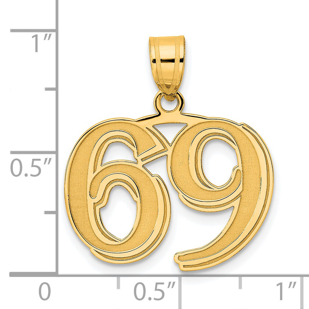 14k Polished Etched Number 69 Pendant-AEN69